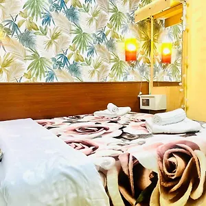 Green Guesthouse , Rzym Włochy